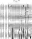 Fig. 07 - PLANT DERIVED INSECTICIDAL PROTEINS AND METHODS FOR THEIR USE
