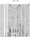 Fig. 08 - PLANT DERIVED INSECTICIDAL PROTEINS AND METHODS FOR THEIR USE