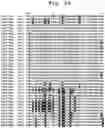 Fig. 09 - PLANT DERIVED INSECTICIDAL PROTEINS AND METHODS FOR THEIR USE