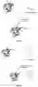 Fig. 19 - MODIFIED IL-18 POLYPEPTIDES AND USES THEREOF