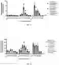 Fig. 20 - MODIFIED IL-18 POLYPEPTIDES AND USES THEREOF
