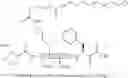 Fig. 64 - MODIFIED IL-18 POLYPEPTIDES AND USES THEREOF
