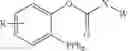 Fig. 49 - Interleukin-2 polypeptide conjugates and their uses