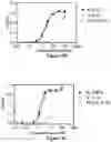 Fig. 09 - HUMAN INTERLEUKIN-2 VARIANT OR DERIVATIVE THEREOF
