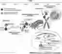Fig. 01 - SYSTEMS AND METHODS FOR COMPARTMENT SPATIAL ORGANIZATION