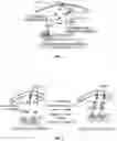 Fig. 02 - SYSTEMS AND METHODS FOR COMPARTMENT SPATIAL ORGANIZATION