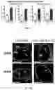 Fig. 06 - SYSTEMS AND METHODS FOR COMPARTMENT SPATIAL ORGANIZATION