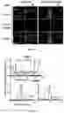 Fig. 07 - SYSTEMS AND METHODS FOR COMPARTMENT SPATIAL ORGANIZATION