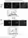 Fig. 41 - SYSTEMS AND METHODS FOR COMPARTMENT SPATIAL ORGANIZATION