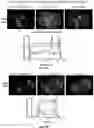 Fig. 45 - SYSTEMS AND METHODS FOR COMPARTMENT SPATIAL ORGANIZATION