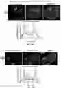 Fig. 49 - SYSTEMS AND METHODS FOR COMPARTMENT SPATIAL ORGANIZATION
