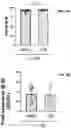 Fig. 08 - METHODS FOR ISOLATING CD8+ SELECTED T CELLS