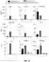 Fig. 22 - METHODS FOR ISOLATING CD8+ SELECTED T CELLS