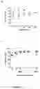 Fig. 02 - MEDIA AND METHODS FOR DIFFERENTIATING NATURAL KILLER CELLS