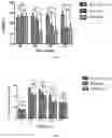 Fig. 02 - MODIFIED MESENCHYMAL STEM CELL CULTURE MEDIUM, BONE MARROW MESENCHYMAL STEM CELLS AND CULTURE METHODS AND USE THEREOF