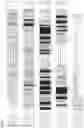 Fig. 02 - PROCESSES FOR PRODUCING POLYUNSATURATED FATTY ACIDS IN TRANSGENIC ORGANISMS