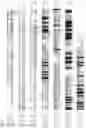 Fig. 04 - PROCESSES FOR PRODUCING POLYUNSATURATED FATTY ACIDS IN TRANSGENIC ORGANISMS