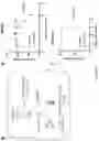 Fig. 22 - Angiotensin-converting enzyme 2 (ACE2) immunoadhesin microbody