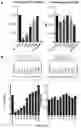 Fig. 34 - Angiotensin-converting enzyme 2 (ACE2) immunoadhesin microbody