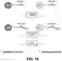 Fig. 12 - DIGITAL PCR BARCODING