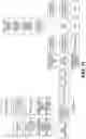 Fig. 13 - DIGITAL PCR BARCODING