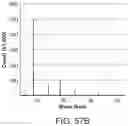Fig. 63 - Stabilized CRISPR complexes