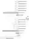 Fig. 15 - RNA INTERFERENCE MEDIATED INHIBITION OF GENE EXPRESSION USING CHEMICALLY MODIFIED SHORT INTERFERING NUCLEIC ACID (SINA)
