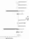 Fig. 16 - RNA INTERFERENCE MEDIATED INHIBITION OF GENE EXPRESSION USING CHEMICALLY MODIFIED SHORT INTERFERING NUCLEIC ACID (SINA)