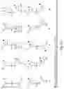 Fig. 23 - RNA INTERFERENCE MEDIATED INHIBITION OF GENE EXPRESSION USING CHEMICALLY MODIFIED SHORT INTERFERING NUCLEIC ACID (SINA)