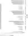 Fig. 40 - RNA INTERFERENCE MEDIATED INHIBITION OF GENE EXPRESSION USING CHEMICALLY MODIFIED SHORT INTERFERING NUCLEIC ACID (SINA)