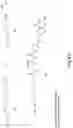 Fig. 44 - RNA INTERFERENCE MEDIATED INHIBITION OF GENE EXPRESSION USING CHEMICALLY MODIFIED SHORT INTERFERING NUCLEIC ACID (SINA)