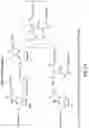Fig. 56 - RNA INTERFERENCE MEDIATED INHIBITION OF GENE EXPRESSION USING CHEMICALLY MODIFIED SHORT INTERFERING NUCLEIC ACID (SINA)