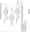 Fig. 67 - RNA INTERFERENCE MEDIATED INHIBITION OF GENE EXPRESSION USING CHEMICALLY MODIFIED SHORT INTERFERING NUCLEIC ACID (SINA)