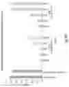 Fig. 91 - RNA INTERFERENCE MEDIATED INHIBITION OF GENE EXPRESSION USING CHEMICALLY MODIFIED SHORT INTERFERING NUCLEIC ACID (SINA)