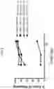 Fig. 09 - EXON SKIPPING COMPOSITIONS FOR TREATING MUSCULAR DYSTROPHY