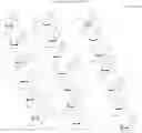 Fig. 20 - Compounds and methods for modulating PLP1