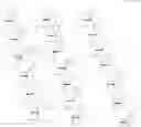 Fig. 24 - Compounds and methods for modulating PLP1