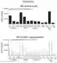 Fig. 10 - RNA NANOSTRUCTURES AND METHODS OF MAKING AND USING RNA NANOSTRUCTURES