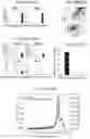 Fig. 26 - RNA NANOSTRUCTURES AND METHODS OF MAKING AND USING RNA NANOSTRUCTURES