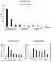 Fig. 30 - RNA NANOSTRUCTURES AND METHODS OF MAKING AND USING RNA NANOSTRUCTURES