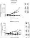 Fig. 40 - RNA NANOSTRUCTURES AND METHODS OF MAKING AND USING RNA NANOSTRUCTURES