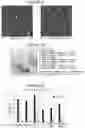 Fig. 44 - RNA NANOSTRUCTURES AND METHODS OF MAKING AND USING RNA NANOSTRUCTURES