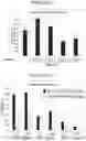 Fig. 45 - RNA NANOSTRUCTURES AND METHODS OF MAKING AND USING RNA NANOSTRUCTURES