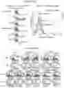 Fig. 48 - RNA NANOSTRUCTURES AND METHODS OF MAKING AND USING RNA NANOSTRUCTURES
