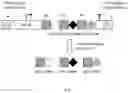 Fig. 05 - CRISPR GUIDE-RNA EXPRESSION STRATEGIES FOR MULTIPLEX GENOME ENGINEERING