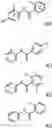 Fig. 01 - Improving plant regeneration