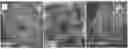 Fig. 01 - Method for changing the intercellular mobility of an mRNA