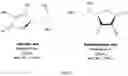 Fig. 02 - Method of improving chloroplast function and increasing seed yield