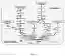 Fig. 05 - Method of improving chloroplast function and increasing seed yield