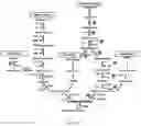 Fig. 26 - Method of improving chloroplast function and increasing seed yield